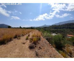 DOS PARCELAS EN MURLA - OPORTUNIDAD DE INVERSIÓN 14.755M2