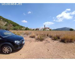DOS PARCELAS EN MURLA - OPORTUNIDAD DE INVERSIÓN 14.755M2