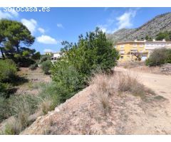 DOS PARCELAS EN MURLA - OPORTUNIDAD DE INVERSIÓN 14.755M2