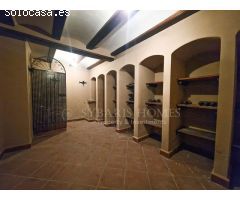 VILLA EN ONDARA CON TERRENO DE 10.000 Y LAGO ARTIFICIAL