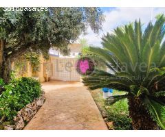 Apartamento en Planta baja 3 dormitorios. Alquiler Invierno