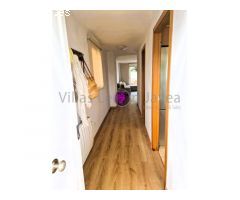 Apartamento en Planta baja 3 dormitorios. Alquiler Invierno
