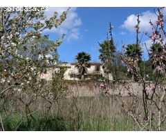 FINCA RUSTICA DE 45 HECTÁREAS.