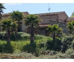 FINCA RUSTICA DE 45 HECTÁREAS.