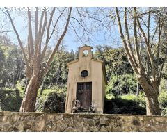 FINCA RUSTICA DE 45 HECTÁREAS.
