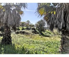 FINCA RUSTICA DE 45 HECTÁREAS.