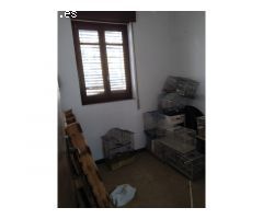 VIVIENDA EN PLANTA BAJA PARA REFORMAR A TU GUSTO