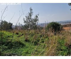 PARCELA URBANA EN ALZIRA
