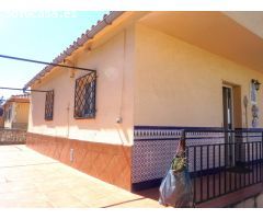3 viviendas independientes en una misma casa, con terraza y 300 m2 de jardín.