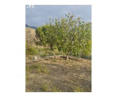 Amplia casa de campo con terreno en Alcaucín!