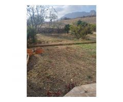 Amplia casa de campo con terreno en Alcaucín!