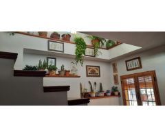 Increíble casa de campo con invernadero, piscina y terreno en Fornes!