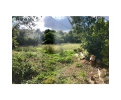 CASA CÉNTRICA CON GRAN JARDÍN y terraza