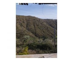 Espectacular parcela con casa de campo en Canillas de Aceituno!