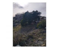 Espectacular parcela con casa de campo en Canillas de Aceituno!