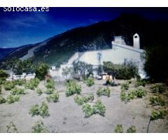 Magnífica finca con piscina en Canillas de Aceituno!