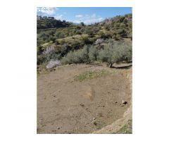 Gran finca rústica de 7.000m2 en Riogordo!