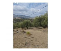 Gran finca de 18.000 metros en Riogordo!
