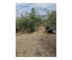 Gran finca de 18.000 metros en Riogordo!