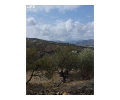 Gran finca de 18.000 metros en Riogordo!