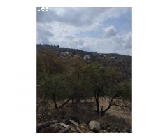 Gran finca de 18.000 metros en Riogordo!