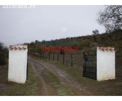 Finca ganadera de 45 ha en Valdelacasa de Tajo, Cáceres