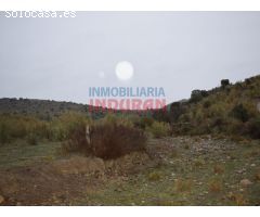 Finca ganadera de 45 ha en Valdelacasa de Tajo, Cáceres