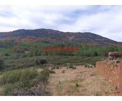 Finca rústica de 193 ha con jabalíes, corzos, venados, con una casa y poblada de