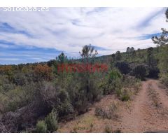 Finca rústica de 193 ha con jabalíes, corzos, venados, con una casa y poblada de