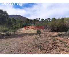 Finca rústica de 193 ha con jabalíes, corzos, venados, con una casa y poblada de