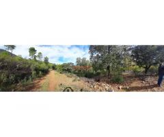 Finca rústica de 193 ha con jabalíes, corzos, venados, con una casa y poblada de