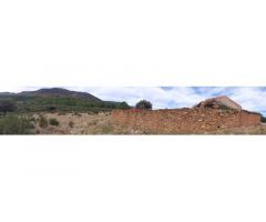 Finca rústica de 193 ha con jabalíes, corzos, venados, con una casa y poblada de
