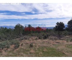 Finca rústica de 193 ha con jabalíes, corzos, venados, con una casa y poblada de
