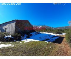 Finca rústica de 193 ha con jabalíes, corzos, venados, con una casa y poblada de