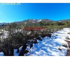 Finca rústica de 193 ha con jabalíes, corzos, venados, con una casa y poblada de