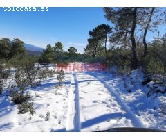 Finca rústica de 193 ha con jabalíes, corzos, venados, con una casa y poblada de