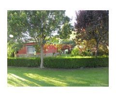 Finca de 4000 m2 cerrada con casa y piscina en Urbanización Los Pinos de Belvis