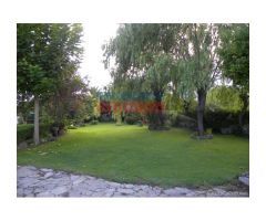 Finca de 4000 m2 cerrada con casa y piscina en Urbanización Los Pinos de Belvis