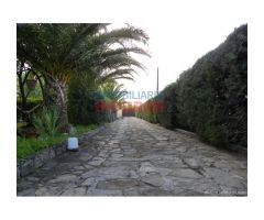 Finca de 4000 m2 cerrada con casa y piscina en Urbanización Los Pinos de Belvis