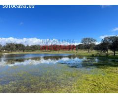 Finca rústica en el valle del Tiétar