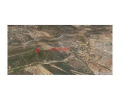 Finca de 7,5 ha. Ideal para recreo y caza en Fresnedoso de Ibor (Cáceres)
