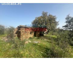 Finca rústica en Valdelacasa de Tajo, Cáceres.
