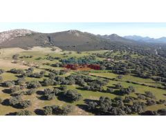 Finca rústica en Deleitosa, Cáceres. A 2 horas de Madrid.