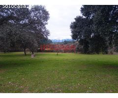 Finca rústica en Parrillas, Toledo.