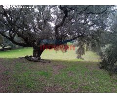 Finca rústica en Parrillas, Toledo.