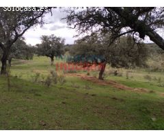 Finca rústica de 4ha en Valdehuncar, Cáceres
