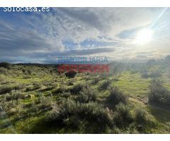 Finca rústica de 3,5ha en Villar del Pedroso