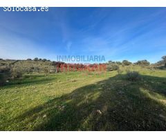 Finca rústica de 3,5ha en Villar del Pedroso