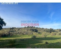 Finca rústica de 3,5ha en Villar del Pedroso