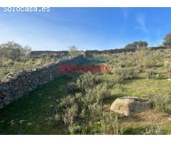 Finca rústica de 3,5ha en Villar del Pedroso